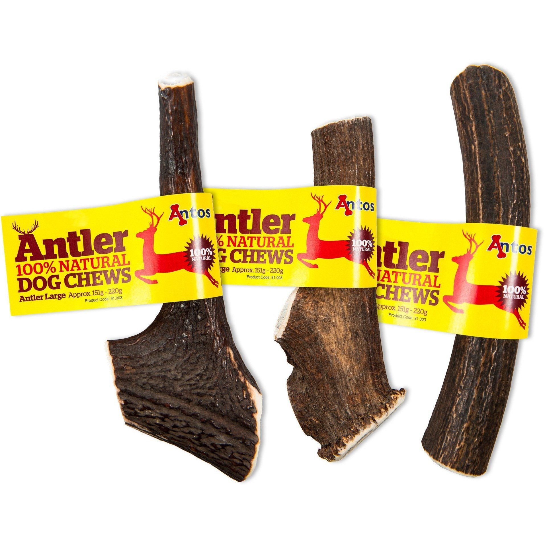 Antos Antler - Dog Chew