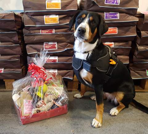 Christmas Hampers for Dogs in Terenure Dubline