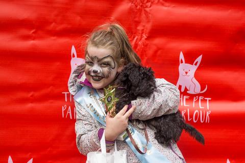 Dartmouth-square-dog-show-pet-parlour-terenure-raw-dog-food-jpg