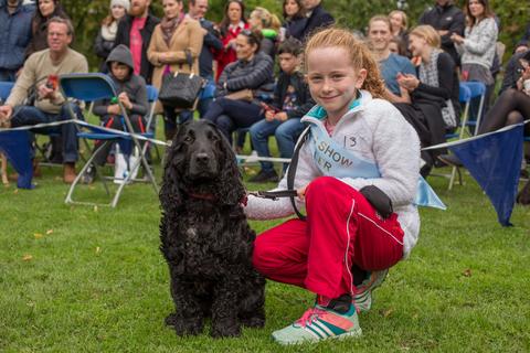 Dartmouth-square-dog-show-pet-parlour-terenure-raw-dog-food-jpg
