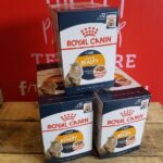 Royal Canin Intense Beauty in Gravy x 12, Wet Cat Food, Royal Canin, The Pet Parlour Terenure Dublin