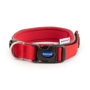 Extreme Dog Collar From The Pet Parlour Dublin