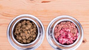 should I feed my dog raw dog food in ireland?