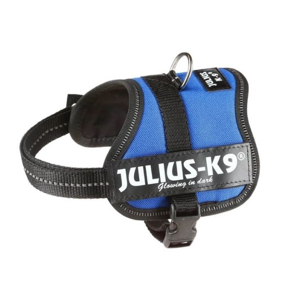 Julius K-9 Harness - Blue - The Pet Parlour - Pet Food & Accessories Store