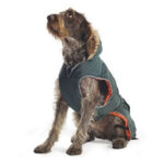 Ancol green parker coat for dogs
