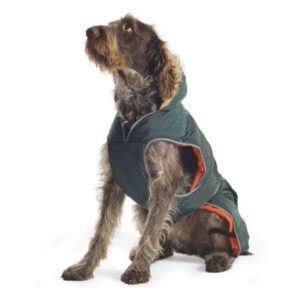 Ancol green parker coat for dogs