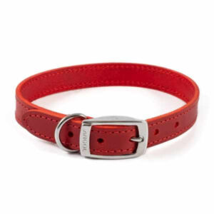 ancol leather dog collar