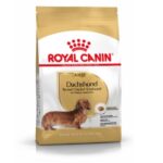 dog food for adult dachshund