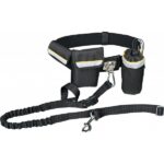collars and leads for dogs and cats shop online