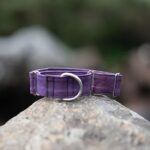picture of a purple dog collar