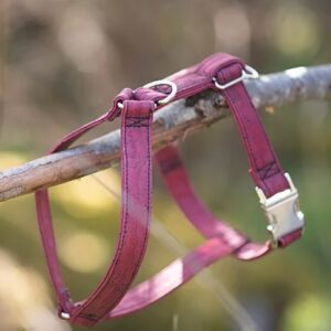 Wild Piccolo Dog Y-Harness - Berry Red