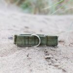 Wild Piccolo Dog Collar With Buckle - Green