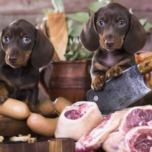 What are the benefits of raw feeding for dogs?