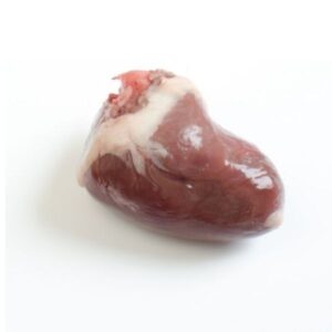 raw turkey hearts picture for raw dog food