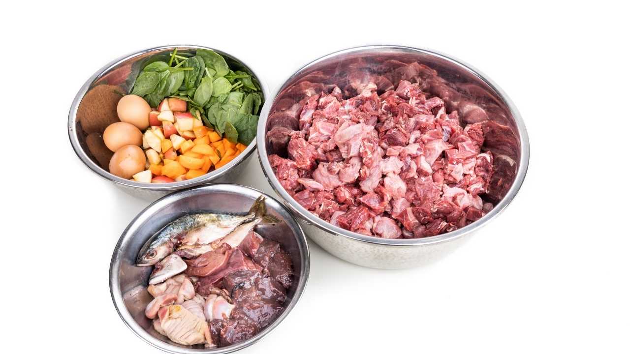 Switching your pooch to raw dog food can positively affect your pet’s health. Pet Parlour shares their tips on how to switch your dog to a raw diet.