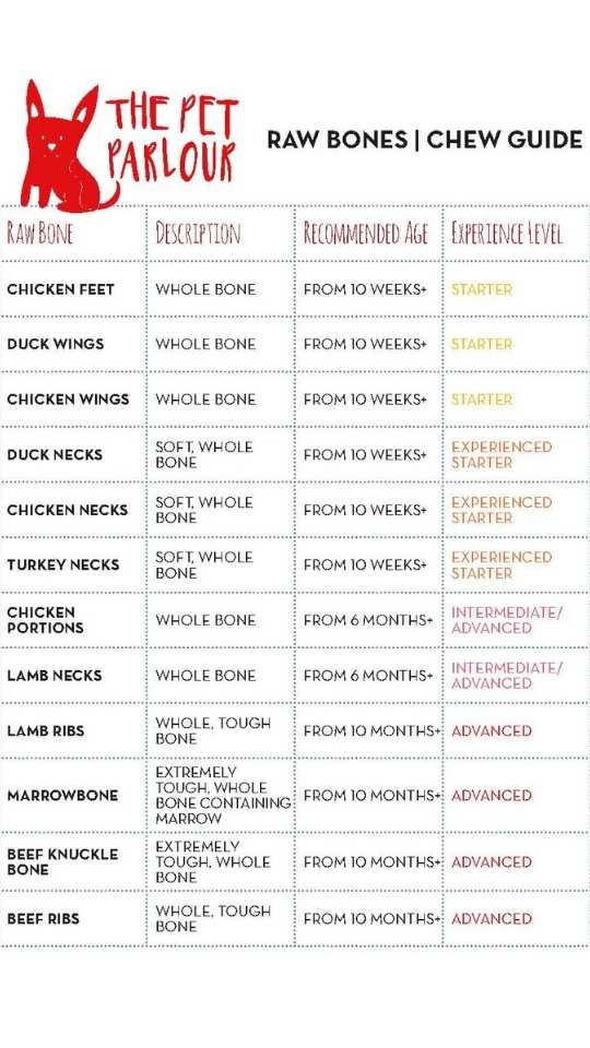 raw bones chewing guide for dogs