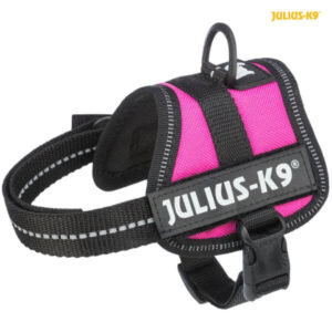 image of pink julius dog harness to buy online from The Pet Parlour Pet Food & Accessories