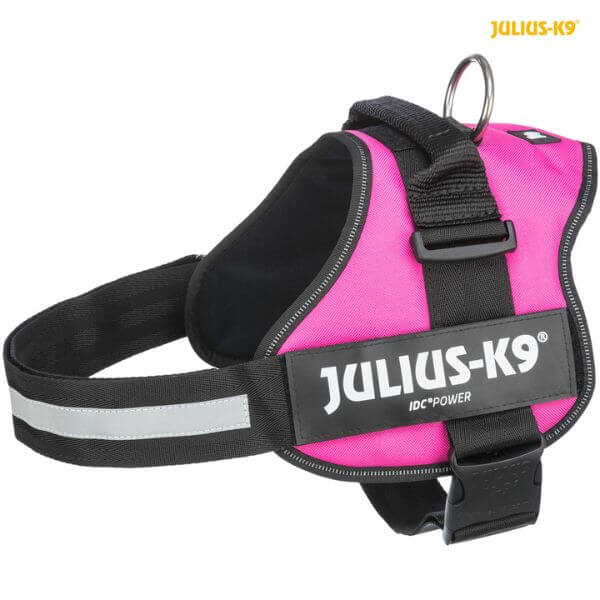 image of pink julius dog harness to buy online from The Pet Parlour Pet Food & Accessories