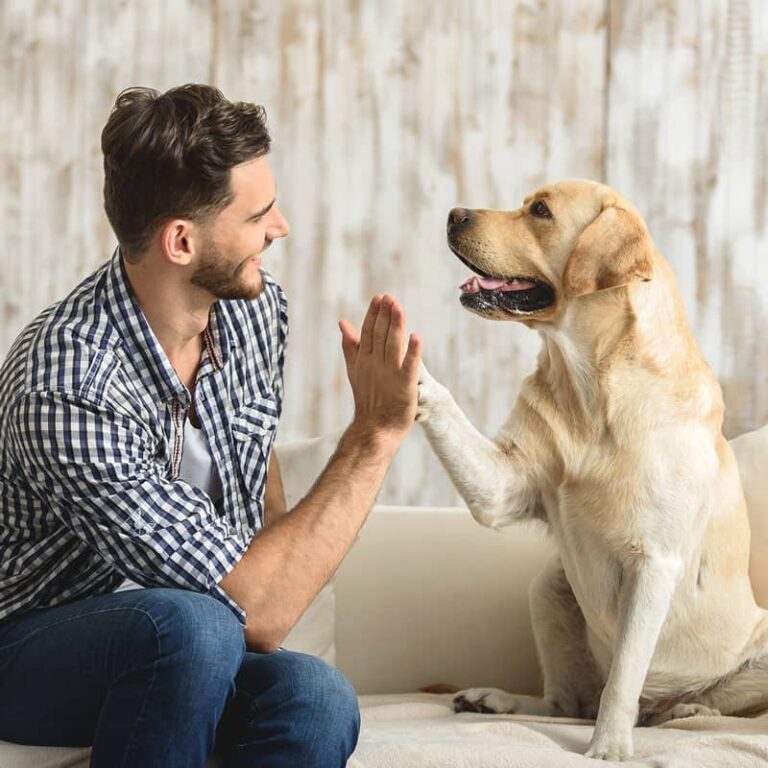 Pet Parlour Healthy Pet Food Terenure Dublin Ireland