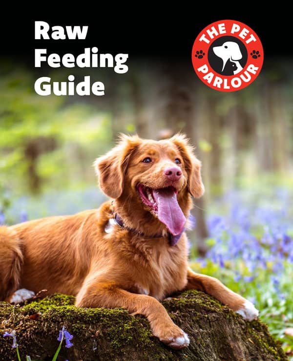 View or download our RAW DOG FOOD FEEDING GUIDE