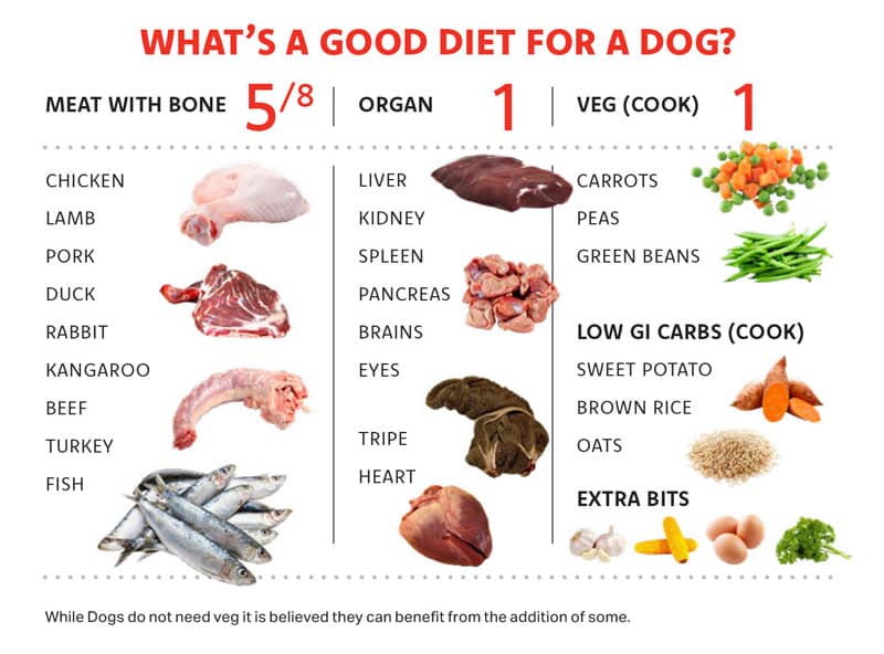 a good diet for a dog? - cover image
