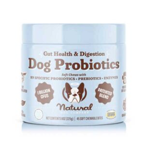 natural dog company gut health probiotic supplement