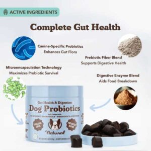 natural dog company gut health probiotic supplement