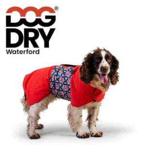 dry robe for dogs