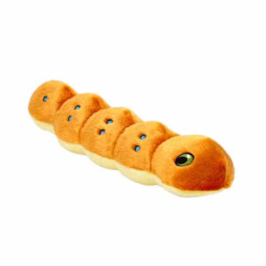 fluff & tuff spicy caterpillar dog toy