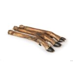 kaya dried deer leg small