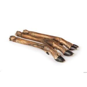 kaya dried deer leg small