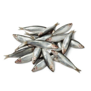 raw frozen wild atlantic sprat 1kg