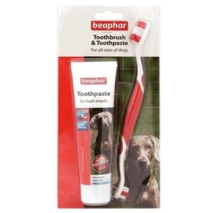 beaphar toothbrush and toothpaste kit
