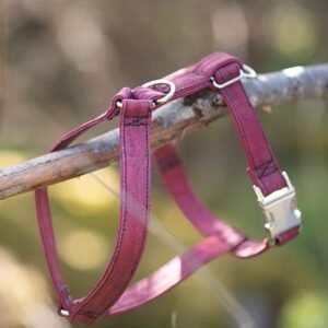 wild piccolo dog y harness berry red