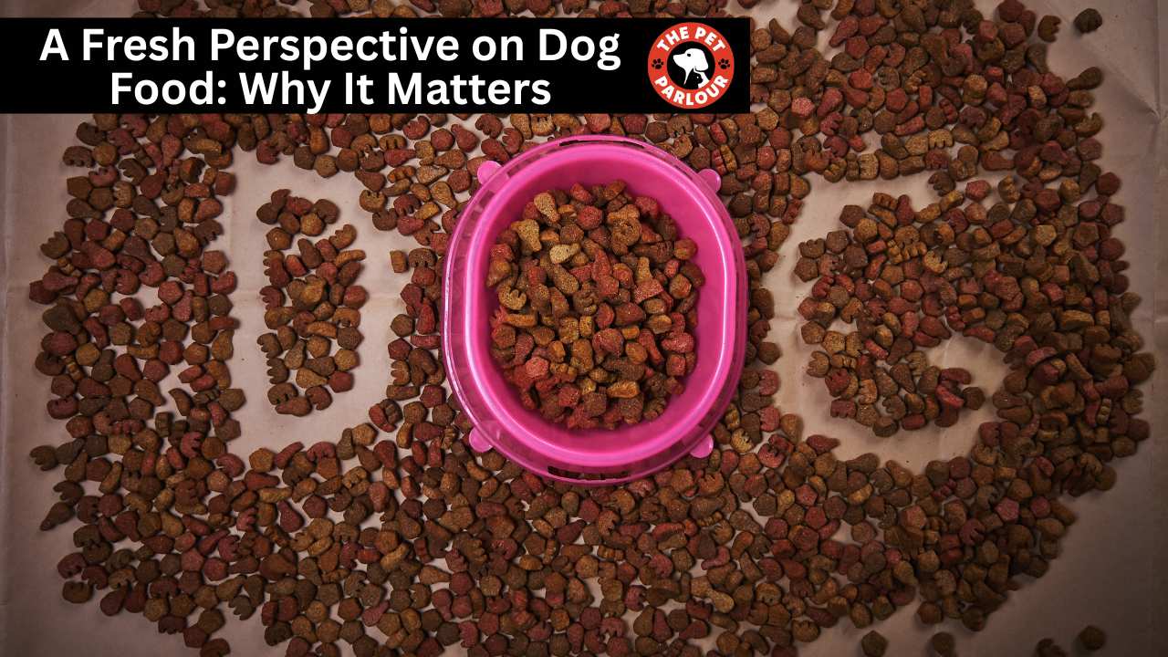 A Fresh Perspective on Dog Food: Why It Matters