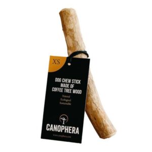 canophera coffee tree wood dog chew