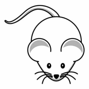 fresh frozen reptile food ireland.jpeg