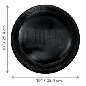 kong flyer extreme frisbee