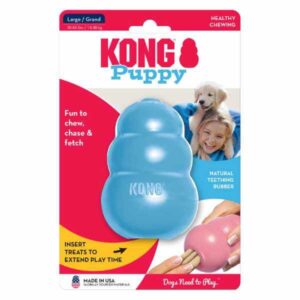 kong puppy