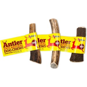 antos antler dog chew