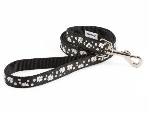 daisy bone nylon lead