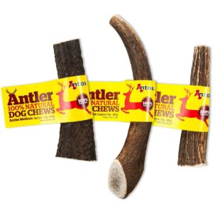 antos antler dog chew