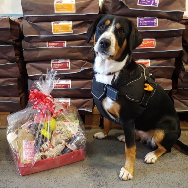 Make Their Tails Wag: Pet Parlour’s Christmas Gift Guide