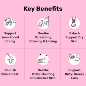 nutripaw all itch functional dog treats.jpg