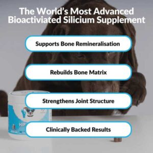 nutripaw hip joint dog treats.jpg