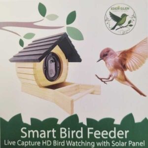 smart wild bird feeder pine.jpg