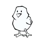 day old chicks raw cat food ireland.jpeg