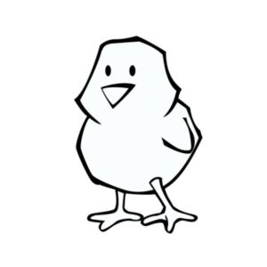 day old chicks raw cat food ireland.jpeg