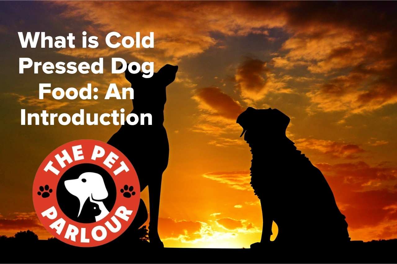 What is Cold Pressed Dog Food: An Introduction