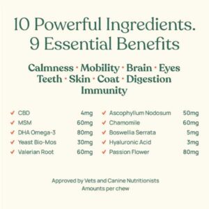 barkt all in one dog treats.jpg